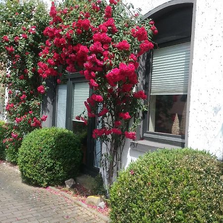 Altstadt-Apartment بيتر هاغن المظهر الخارجي الصورة