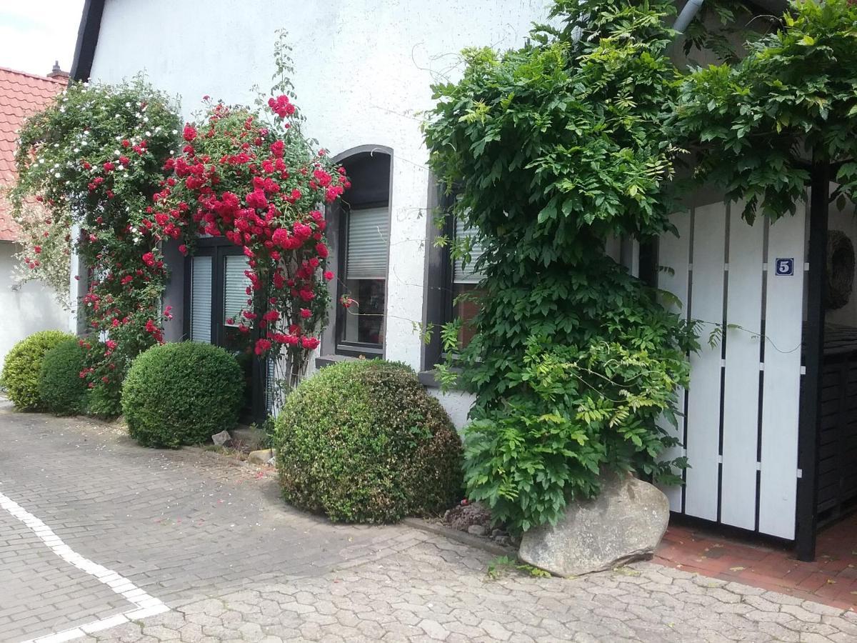 Altstadt-Apartment بيتر هاغن المظهر الخارجي الصورة