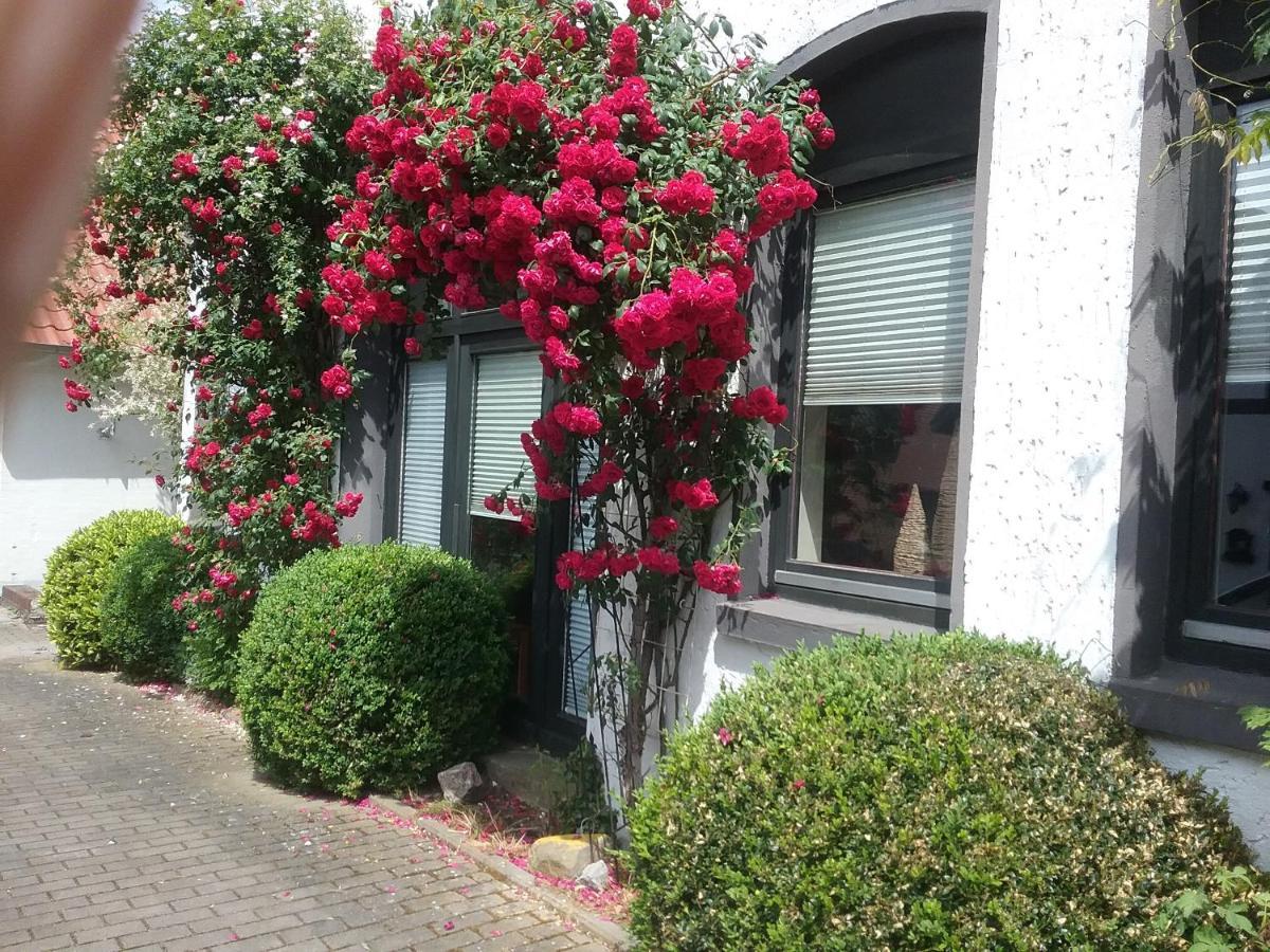 Altstadt-Apartment بيتر هاغن المظهر الخارجي الصورة